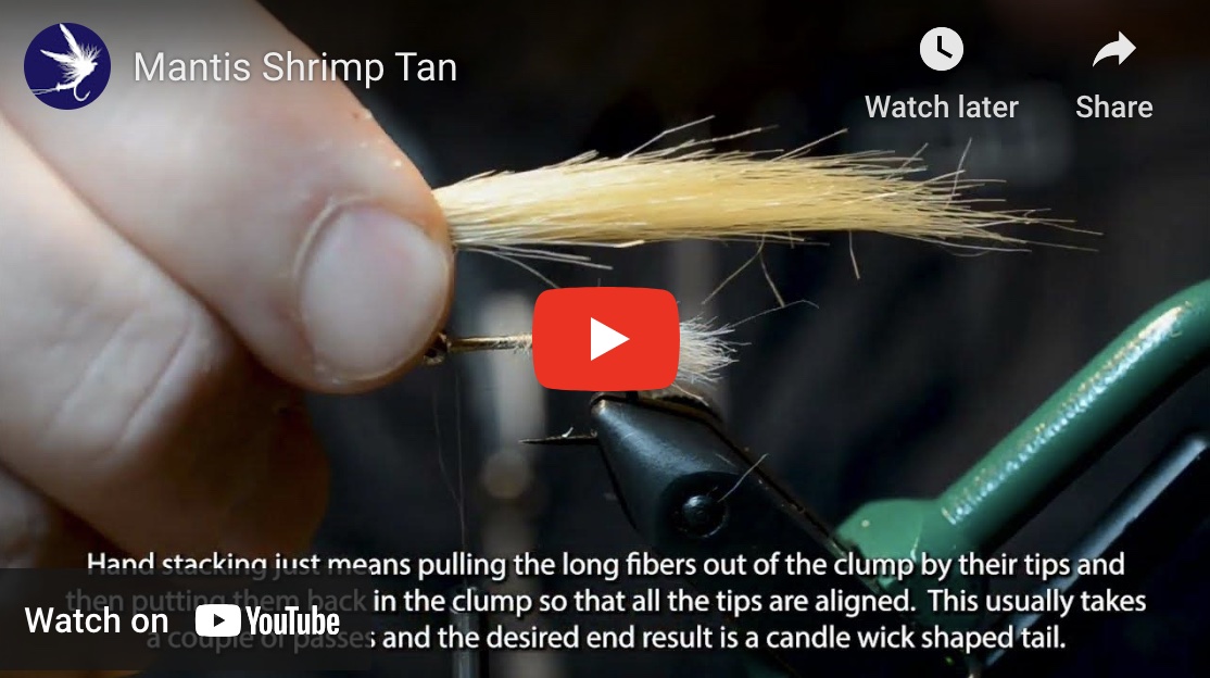 Tying the Mantis Shrimp Saltwater Fishing Fly